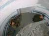 dsc04168_small.jpg