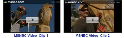 MSNBC